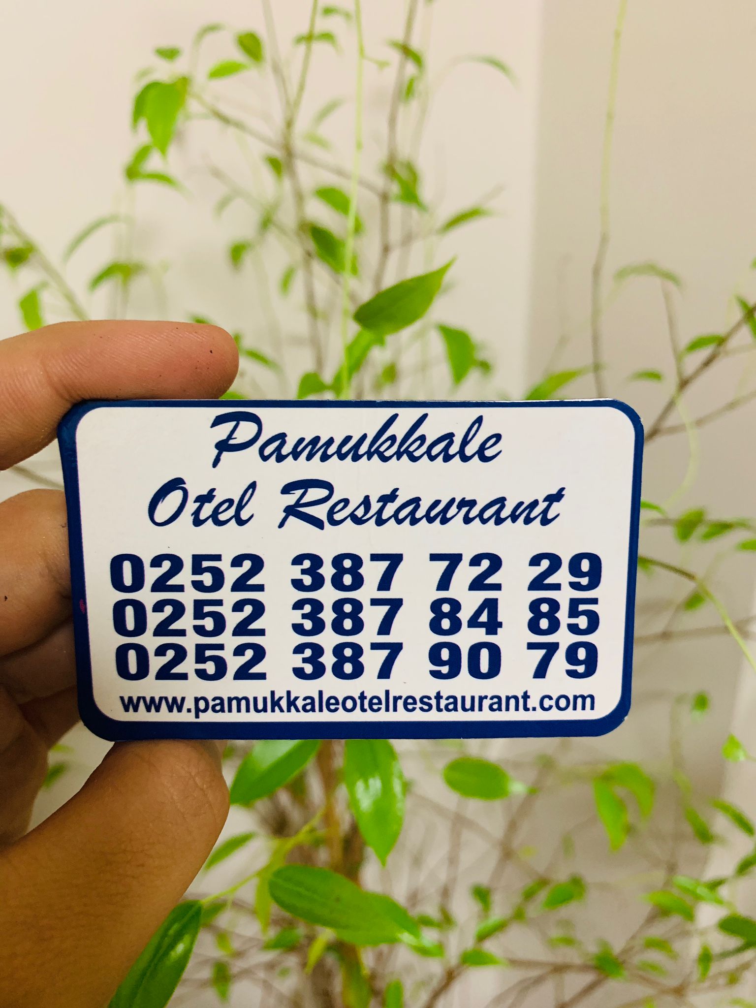 Restaurant Magnet Oval kesim Magnet