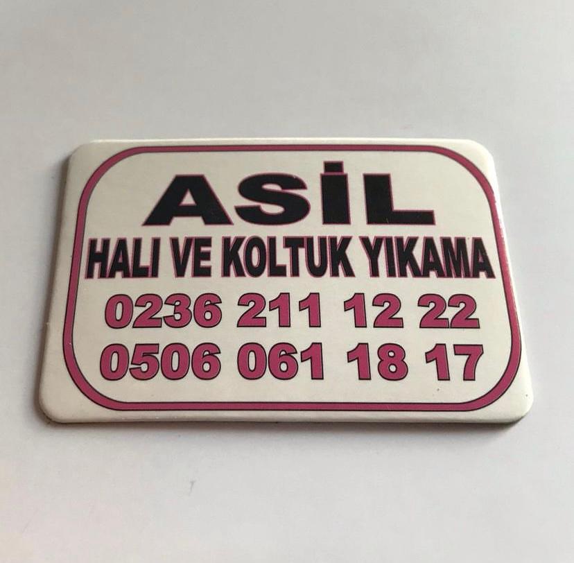 Koltuk Yıkama Magnet