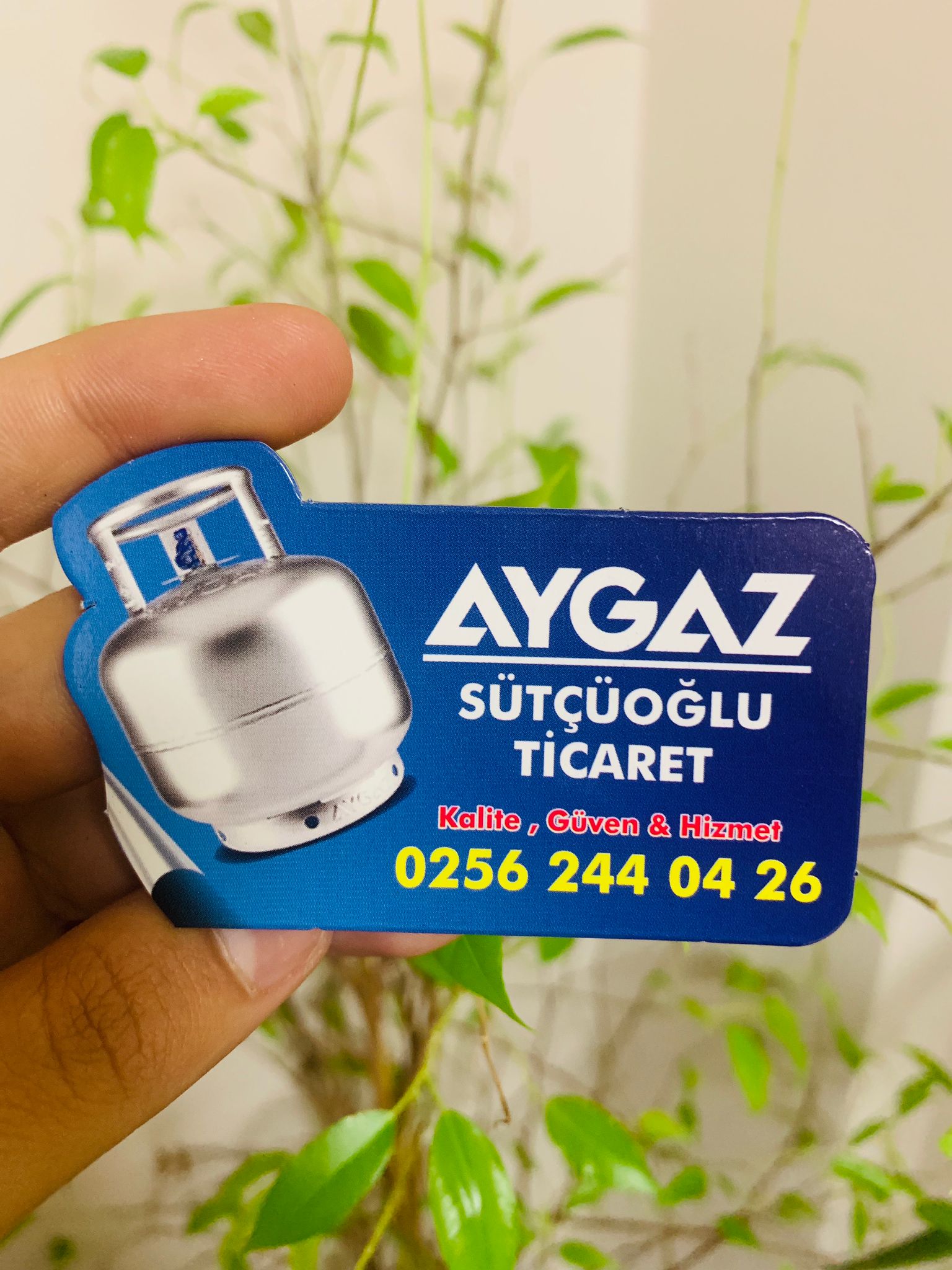 Tüpçü Magnet, Magnet Tasarım