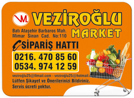 Magnet Çeşitleri